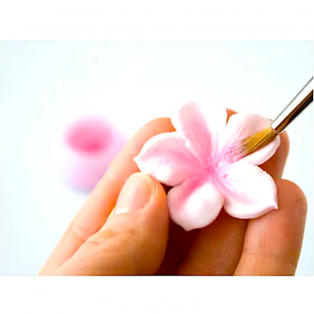 Пищевой краситель цветочная пыльца Фиолетовая 5 гр.