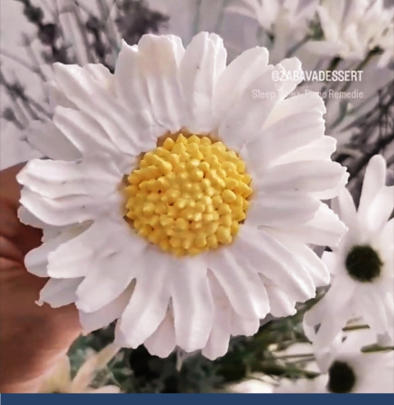 Кондитерские насадки лепесток 2-й изогнутый 99, 100 Tulip™ малый размер